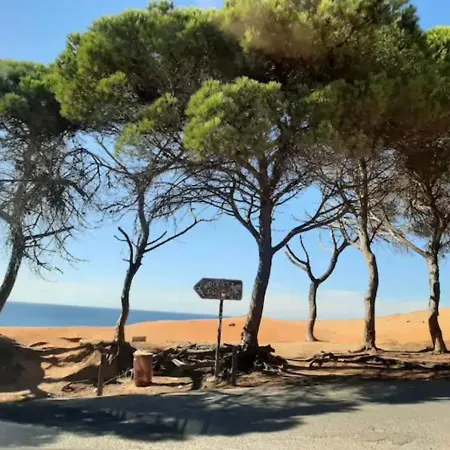 度假居 Casa Da Bertha 阿尔布费拉